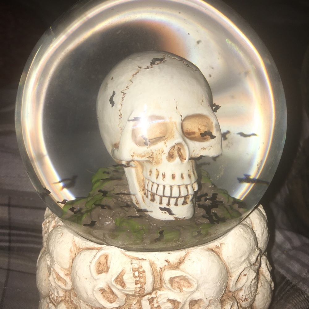 💀 Skull ☠️ Snow-globe 🦇